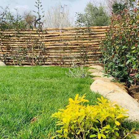 Maisons T2 Avec Jardins Privatifs - 10mn De La Et 5mn Du Village - Casa Di I Trinelli *